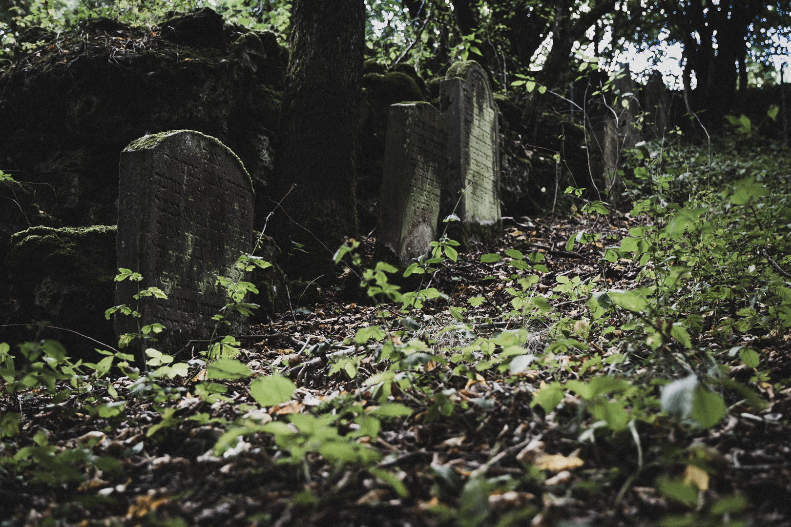 Nentershausen (Hessen), Jüdischer Friedhof